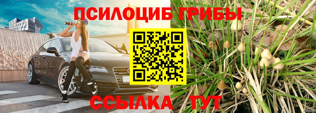 Псилоцибиновые грибы Magic Shrooms  Вход с VPN  Валуйки 